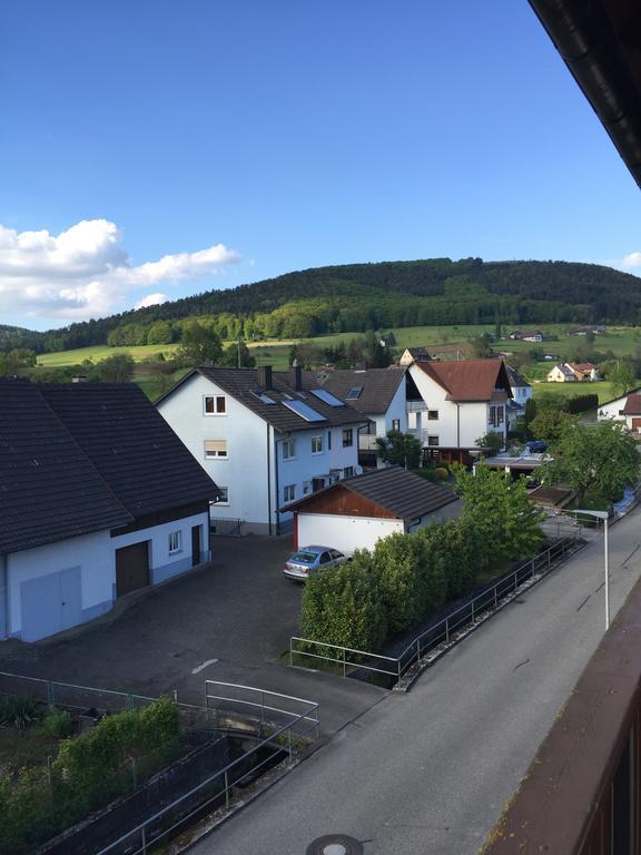 Hotel Garni Schmieder'S Ochsen Seelbach  Exterior photo